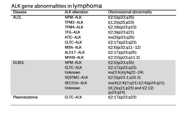 ALKfusionLymphoma01.jpg