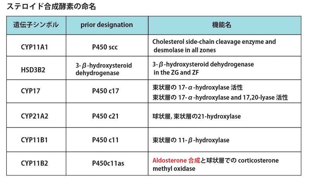 Enzyme01.jpg