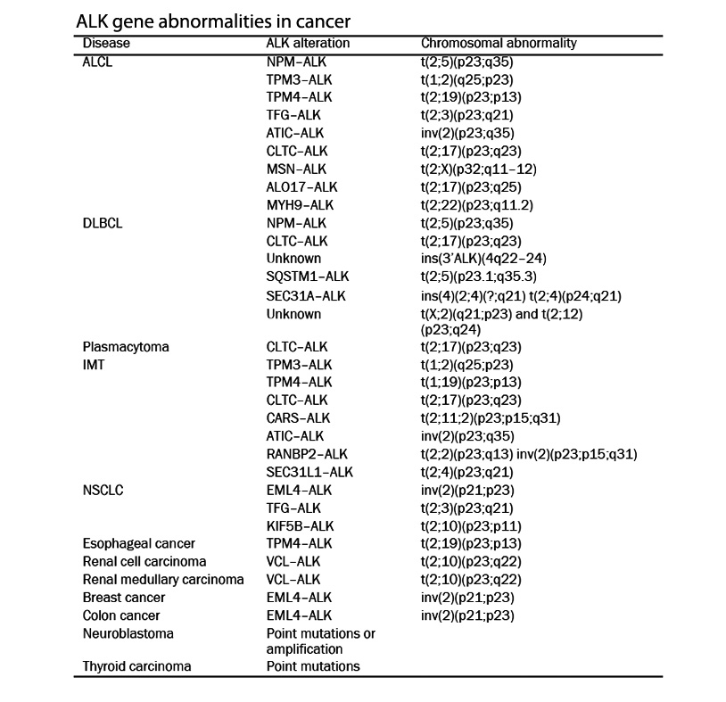 ALKtable01.jpg