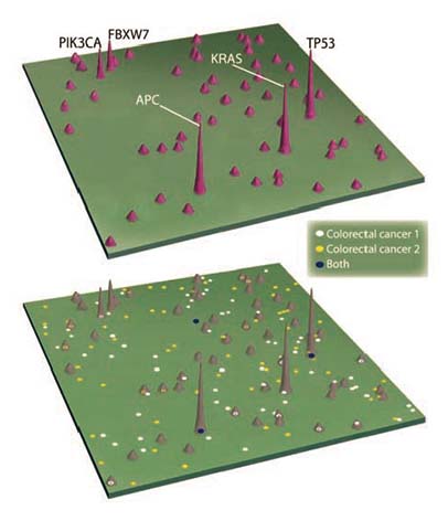 GeneticLandscape.jpg