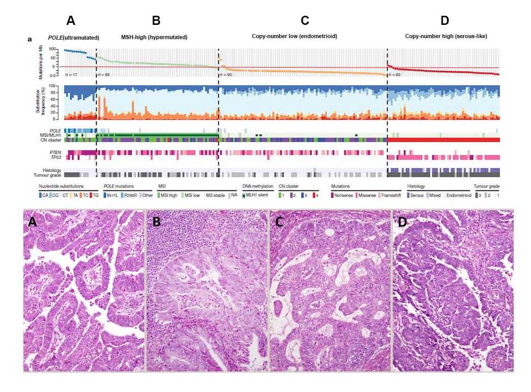 Integrated mutation profile03.jpg