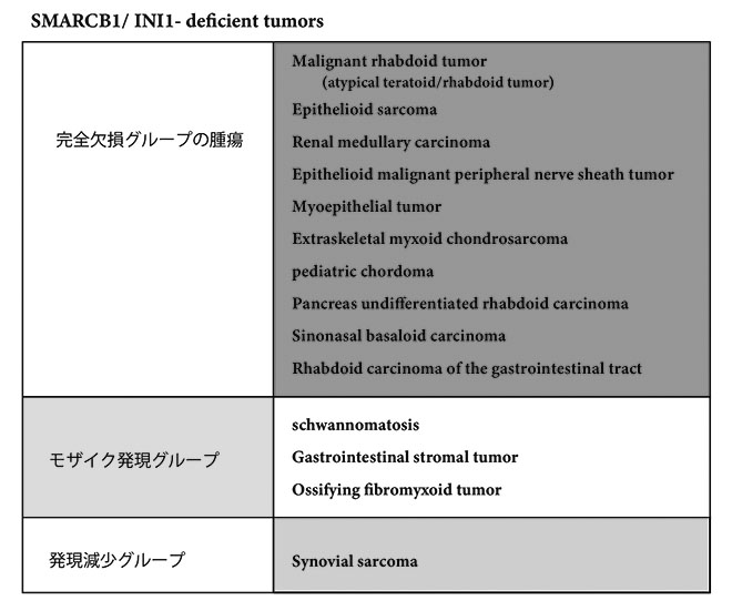 INI1-deficient tumor.jpg