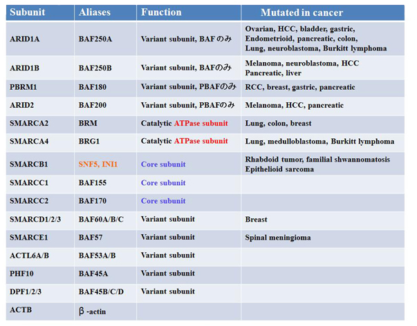 SWI-SNFcomplexTable01.JPG