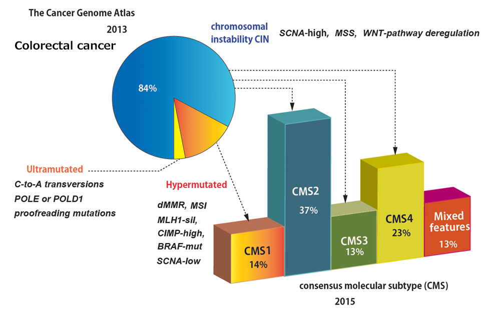 colorectalCa-molecular02.jpg