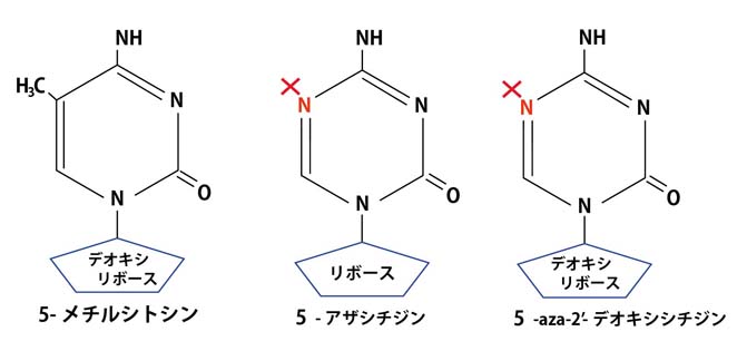 azacytidine.jpg