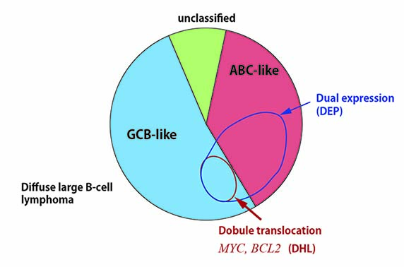 ABC-GCB-Double.jpg
