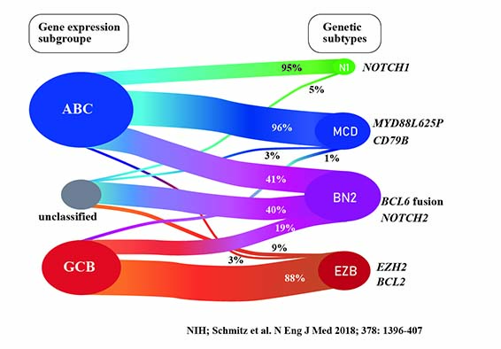 DLBCL-NIHsubtype.jpg