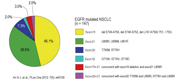 EGFRmutation-distribution.jpg