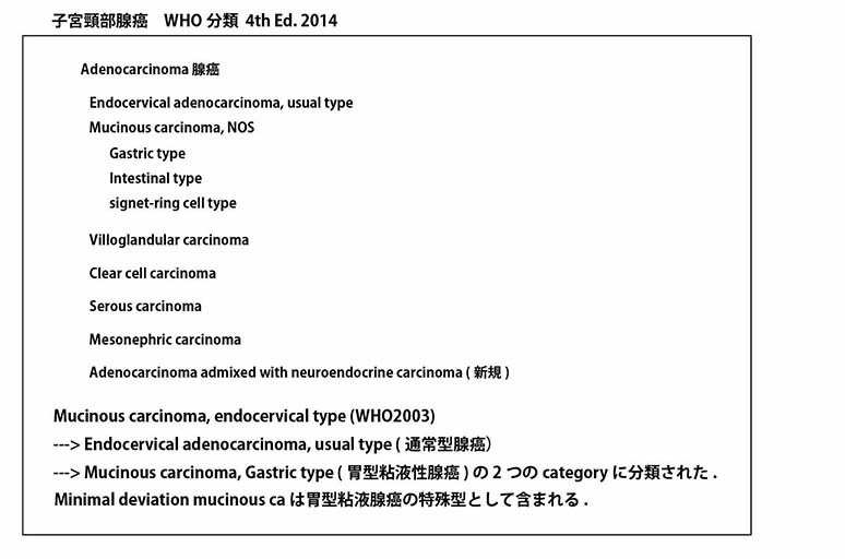 AdenoCa_cervix uteri2014.jpg