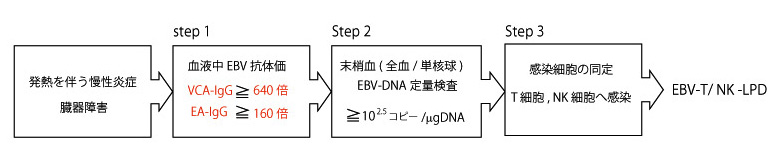 EBV-TNK-Dx.jpg