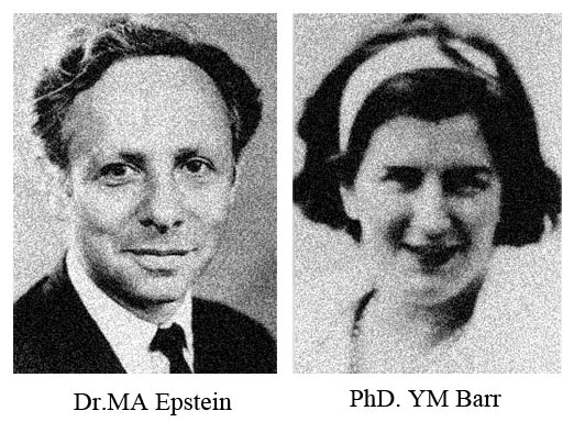 EandB-EBV.jpg