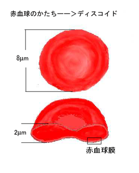 Redcell.png