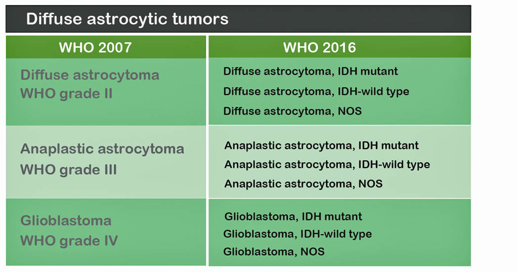 diffuseastocytictumors.jpg