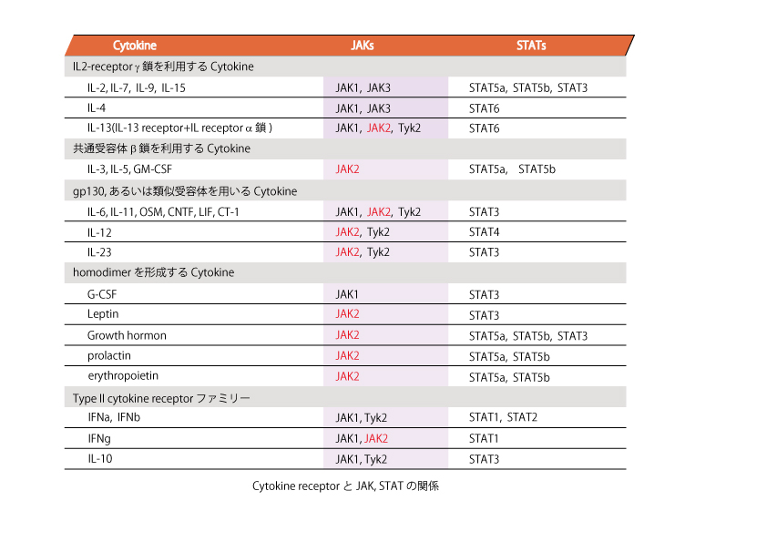 cytokine-JAK-stat.jpg