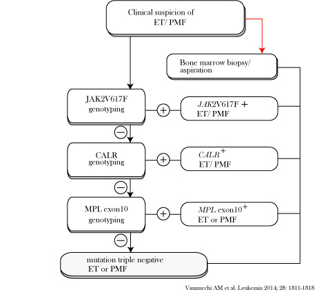 DiagnosisET-PMF.jpg