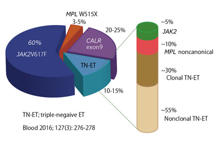 TN-ETmutation_s.jpg