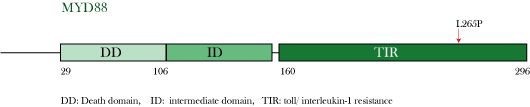 MYD88domain.jpg