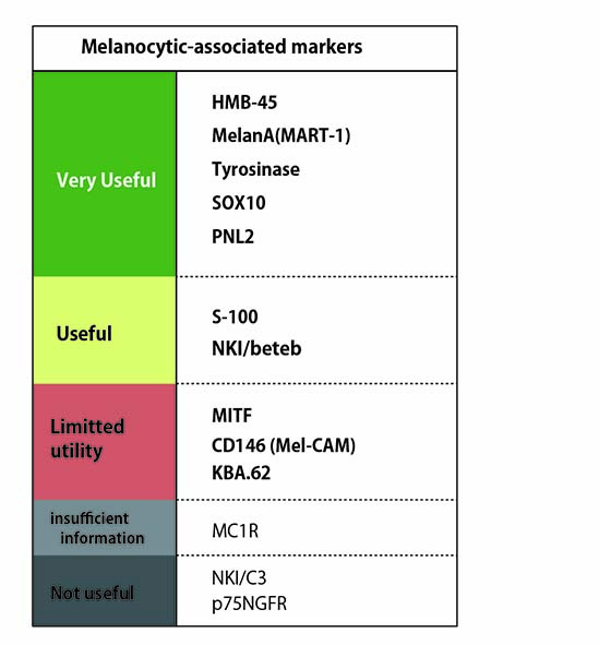 Melanocytic markers.jpg