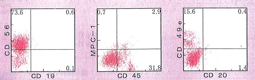 Skazu-MM-FCM-dot.jpg