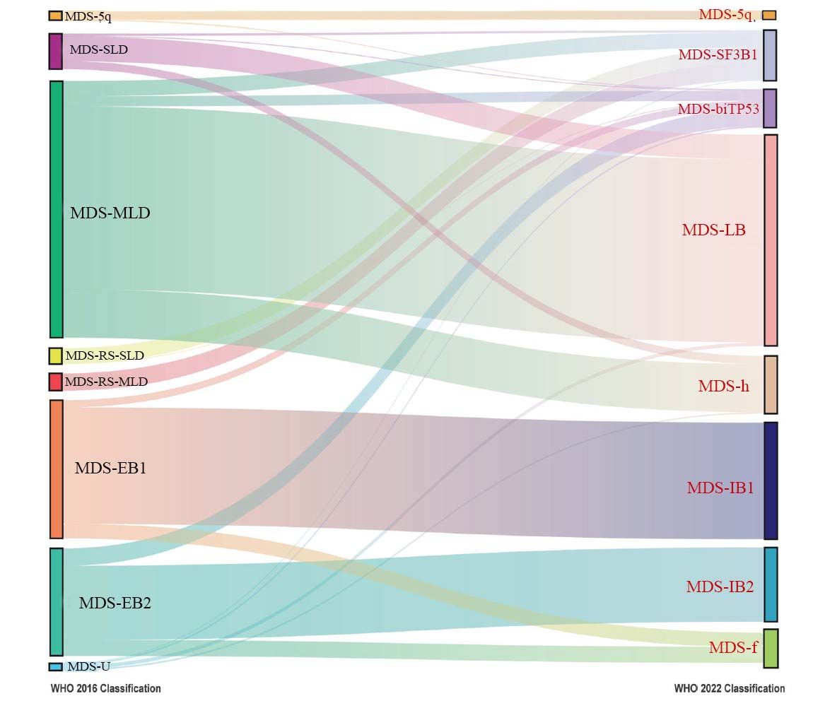 MDS Fig copy02コピー.jpg