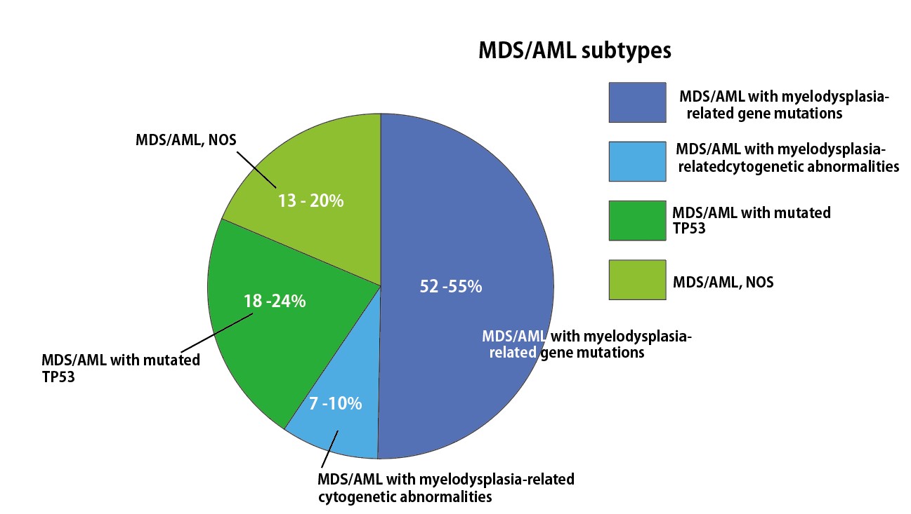 MDS-AML-subtypes.jpg