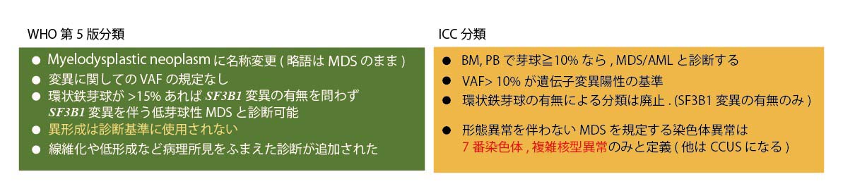 MDS-ICC and WHO5th.jpg