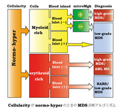 MDS-Dx_Argorism02.jpg
