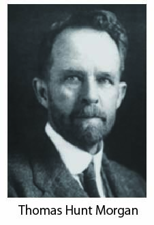 Morgan.jpg