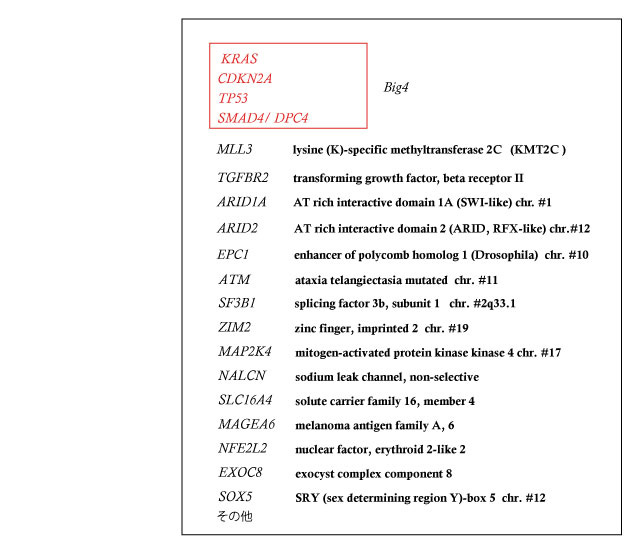 panc_gene_mutation02.jpg
