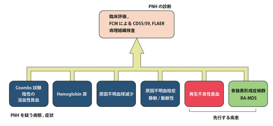 PNH-Dx.jpg