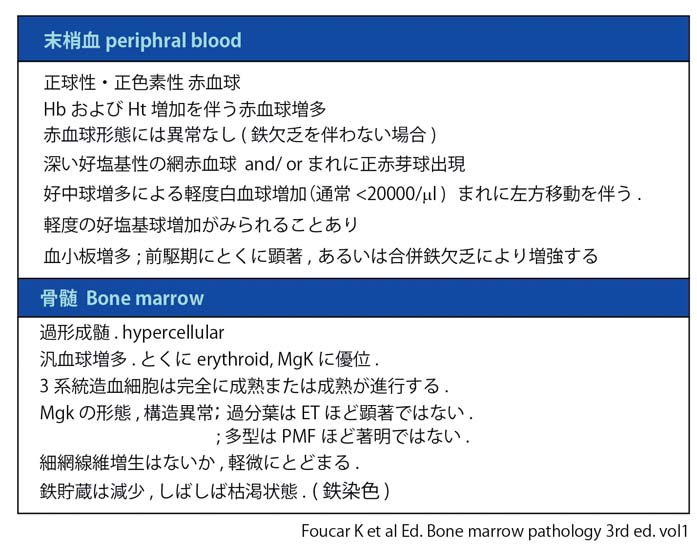 PV findings.jpg