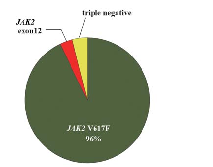 PVdrivergene.jpg