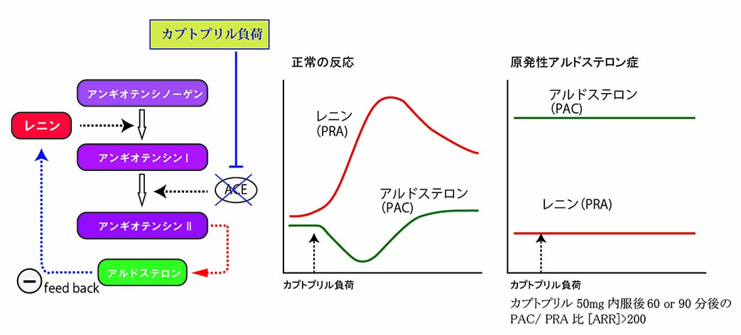 captopril-test.jpg