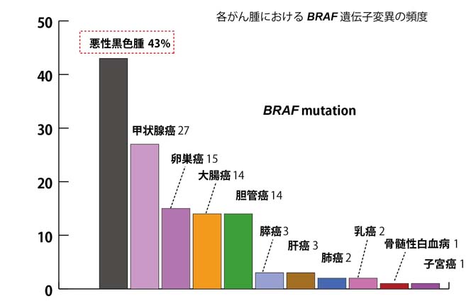 BRAFmut-freq01.jpg