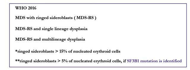 MDS-RSWHO2016.jpg