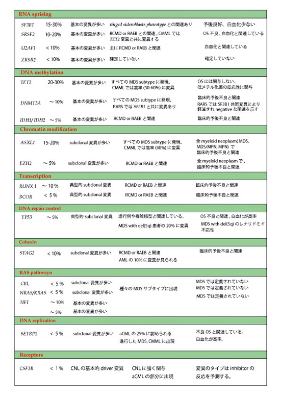 MDS-gene-mutation.gif
