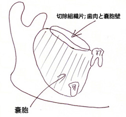fig01.jpg