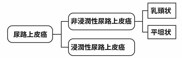 urothelialCa-01a.jpg