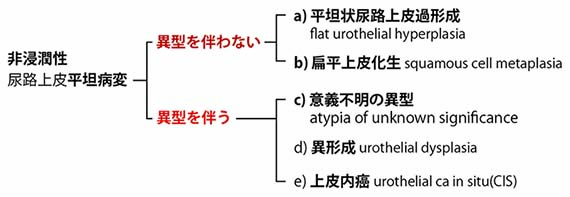 urothelialCa-flat.jpg