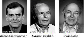 nobel2004chemistry.jpg